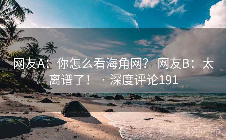 网友A：你怎么看海角网？ 网友B：太离谱了！ · 深度评论191